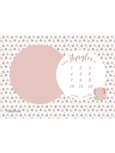 Load image into Gallery viewer, Baby Milestone Blanket