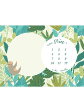 Load image into Gallery viewer, Baby Milestone Blanket