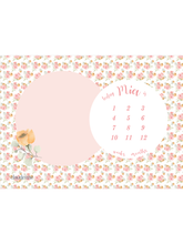 Load image into Gallery viewer, Baby Milestone Blanket